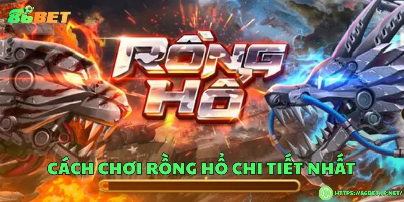 Cách chơi rồng hổ và quy trình tham gia đặt cược Cách chơi rồng hổ chi tiết nhất