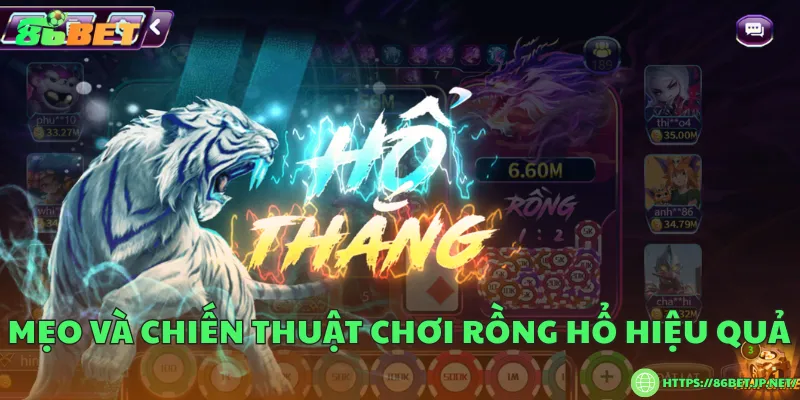Cách chơi rồng hổ và quy trình tham gia đặt cược Mẹo và chiến thuật chơi rồng hổ hiệu quả